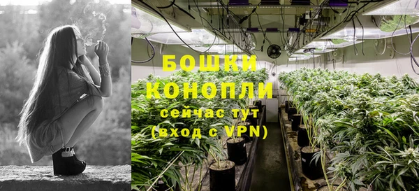 COCAINE Богородицк
