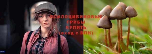 COCAINE Богородицк