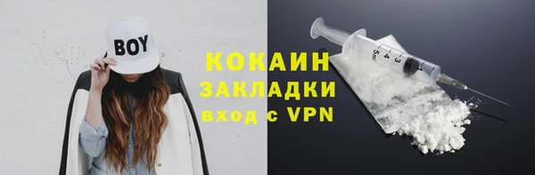 COCAINE Богородицк