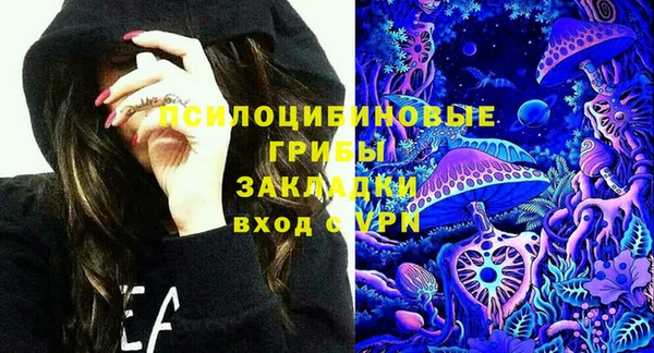 COCAINE Богородицк