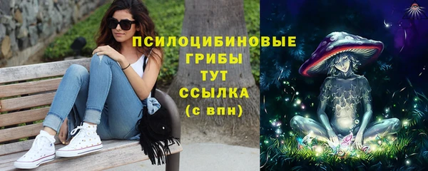 COCAINE Богородицк