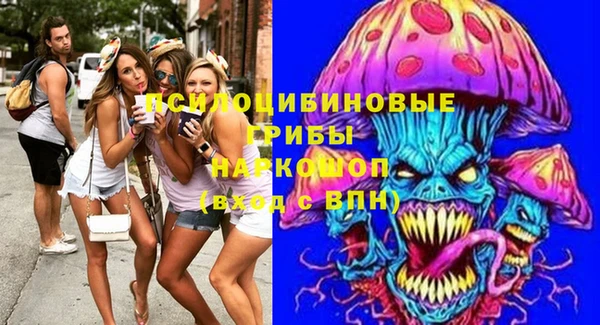 COCAINE Богородицк