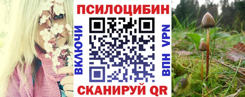 закладка  Ногинск  кракен онион  Галлюциногенные грибы Cubensis 
