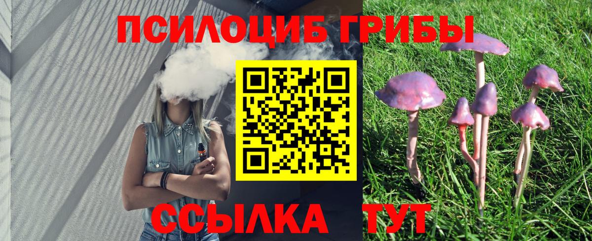 Галлюциногенные грибы GOLDEN TEACHER  Галлюциногенные грибы Psilocybine cubensis  Вход с VPN  Ногинск 