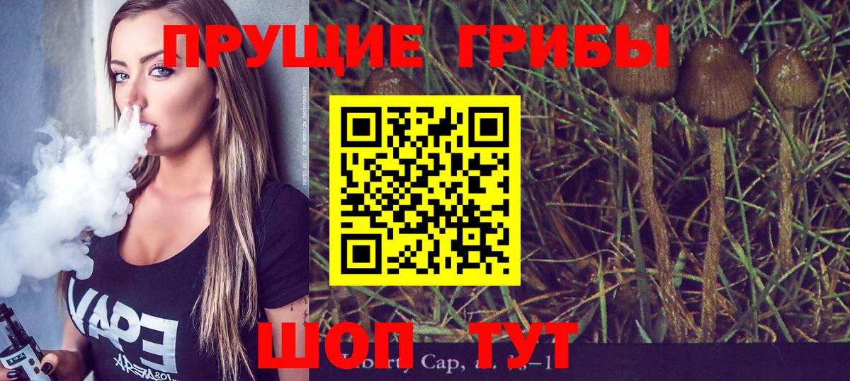 Псилоцибиновые грибы Magic Shrooms Ногинск